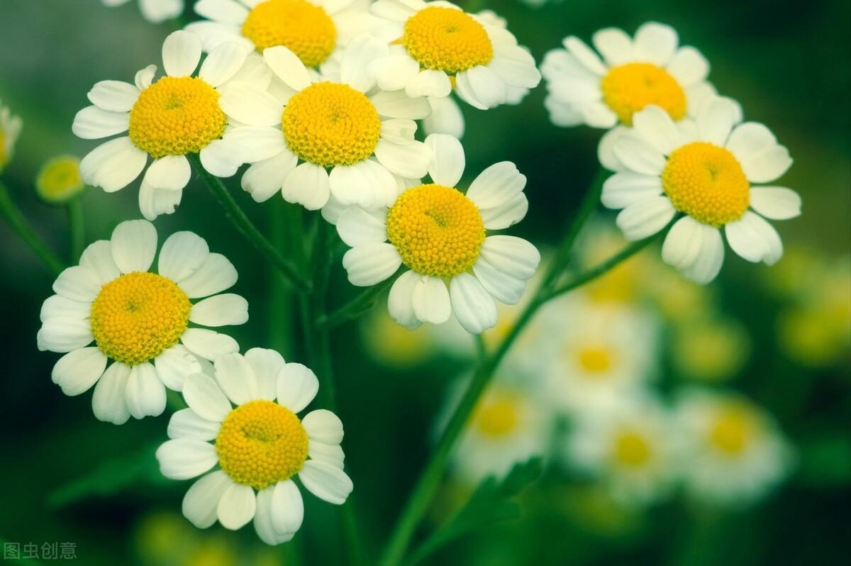 职场冷暴力,为何明明不是我的责任,领导却硬生生让我承担责任?(图1) 职场冷暴力及应对技巧_如何面对职场暴力_职场暴力应对方法