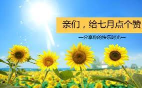 职场不逃跑_杨佳川职场不逃跑_职场不逃跑怎么样