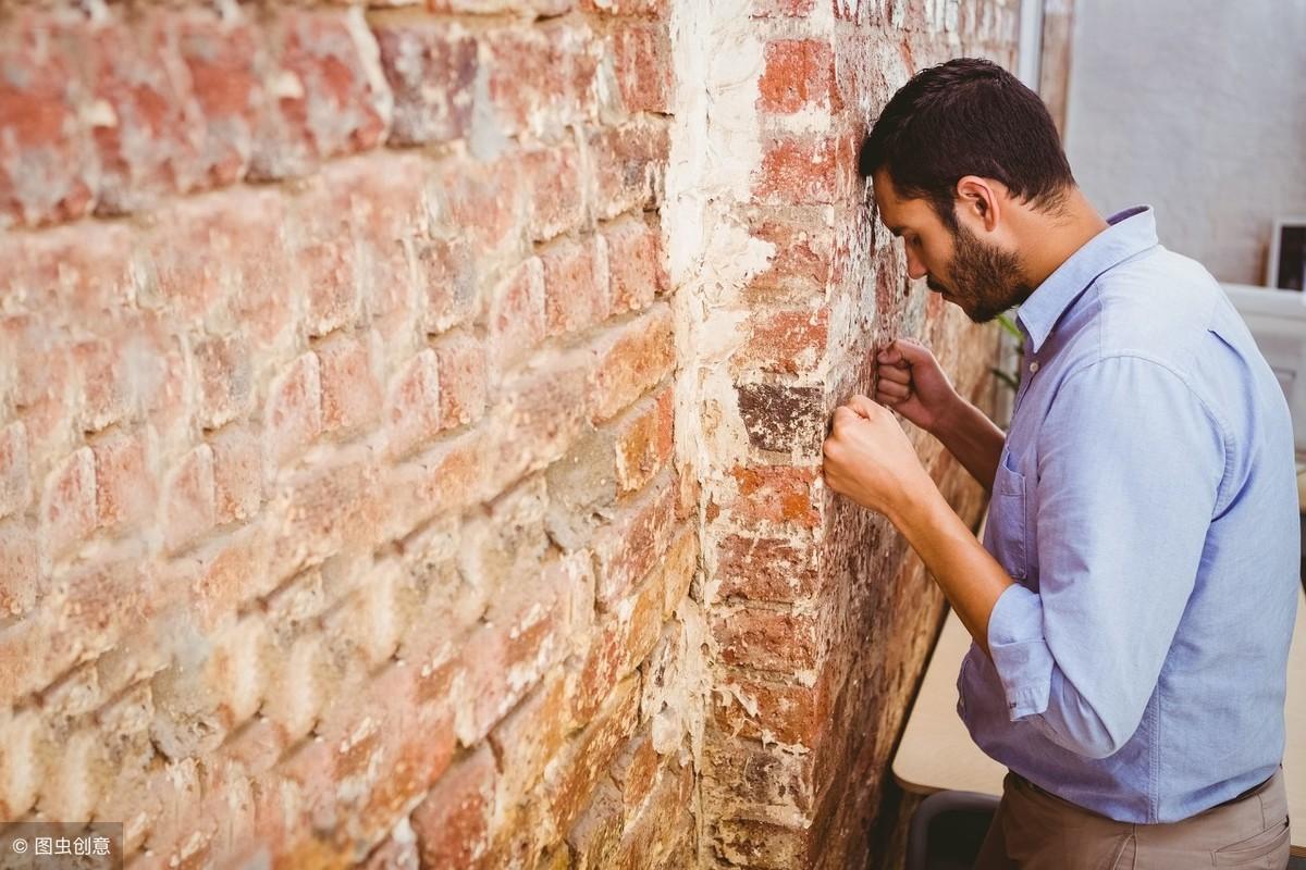 职场生存手册_职场生存图鉴_职场生存书