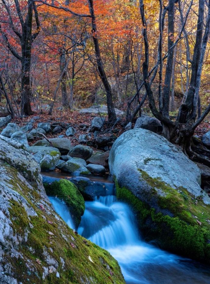 产后返回职场如何调整心态_产后返职场妈妈_产后返岗
