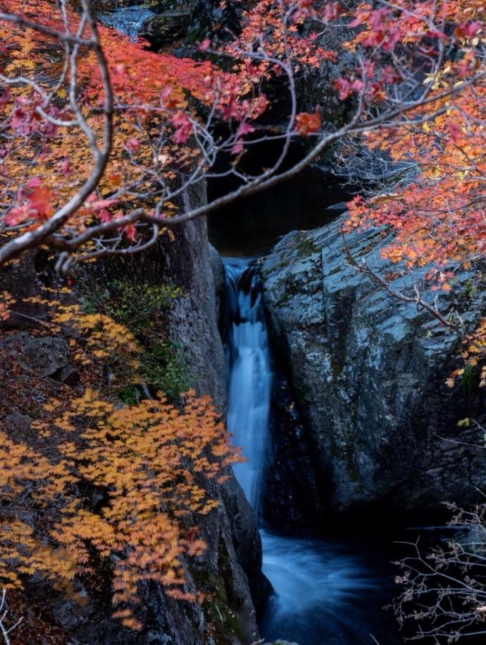 产后返岗_产后返回职场如何调整心态_产后返职场妈妈