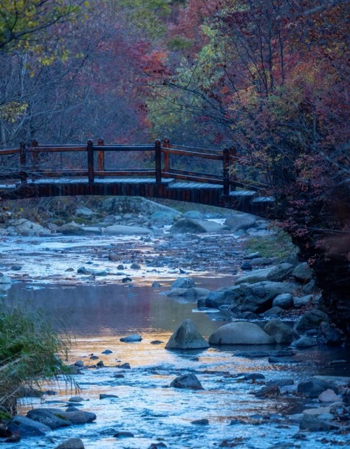 产后返岗_产后返回职场如何调整心态_产后返职场妈妈