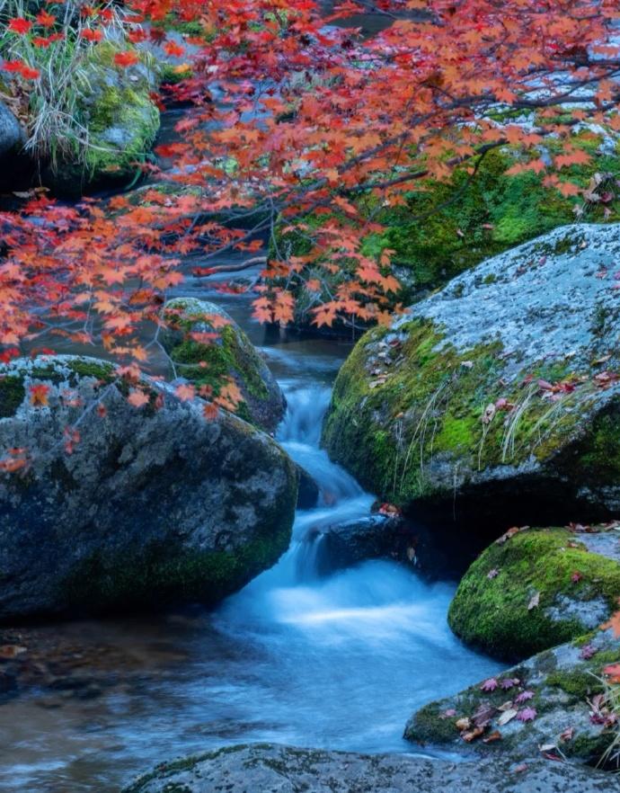 产后返岗_产后返职场妈妈_产后返回职场如何调整心态