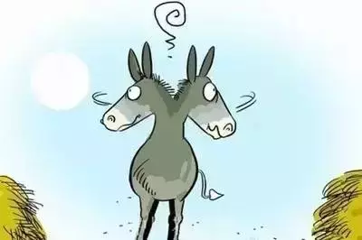 一头去上班的驴,太经典了!(深度好文)(图3) 一头驴的职场故事_驴拉磨的职场寓言故事_养20头驴得投资多少