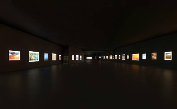 黑蝴蝶蛋糕店_黑天鹅蛋糕店招聘_延吉蛋糕店招聘