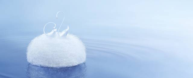 黑天鹅蛋糕店招聘_黑蝴蝶蛋糕店_延吉蛋糕店招聘