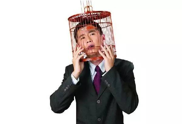 职场老道_老职场是什么意思_职场初老族