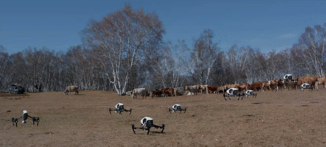 职场暧昧关系表现_职场暧昧的最高境界_职场男人搞暧昧