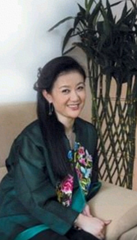 央视撒贝宁主持的节目_央视主持人撒贝宁简历_撒贝宁主持的节目