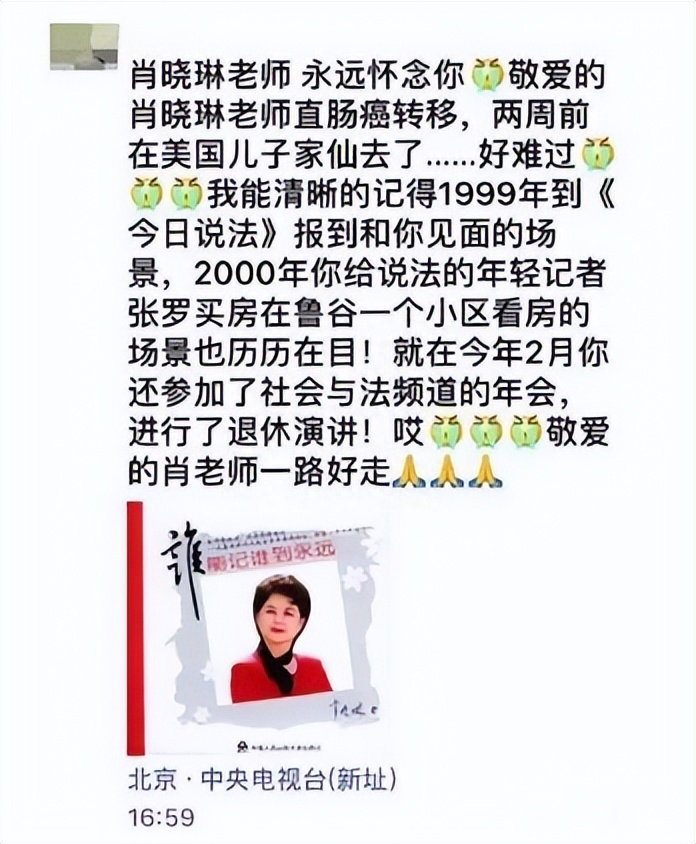 “名嘴”撒贝宁退休后5个月客死异乡背后的故事(图17) 央视节目主持人撒贝宁简历_央视主持人撒贝宁简历_央视主持人撒贝宁主持的节目