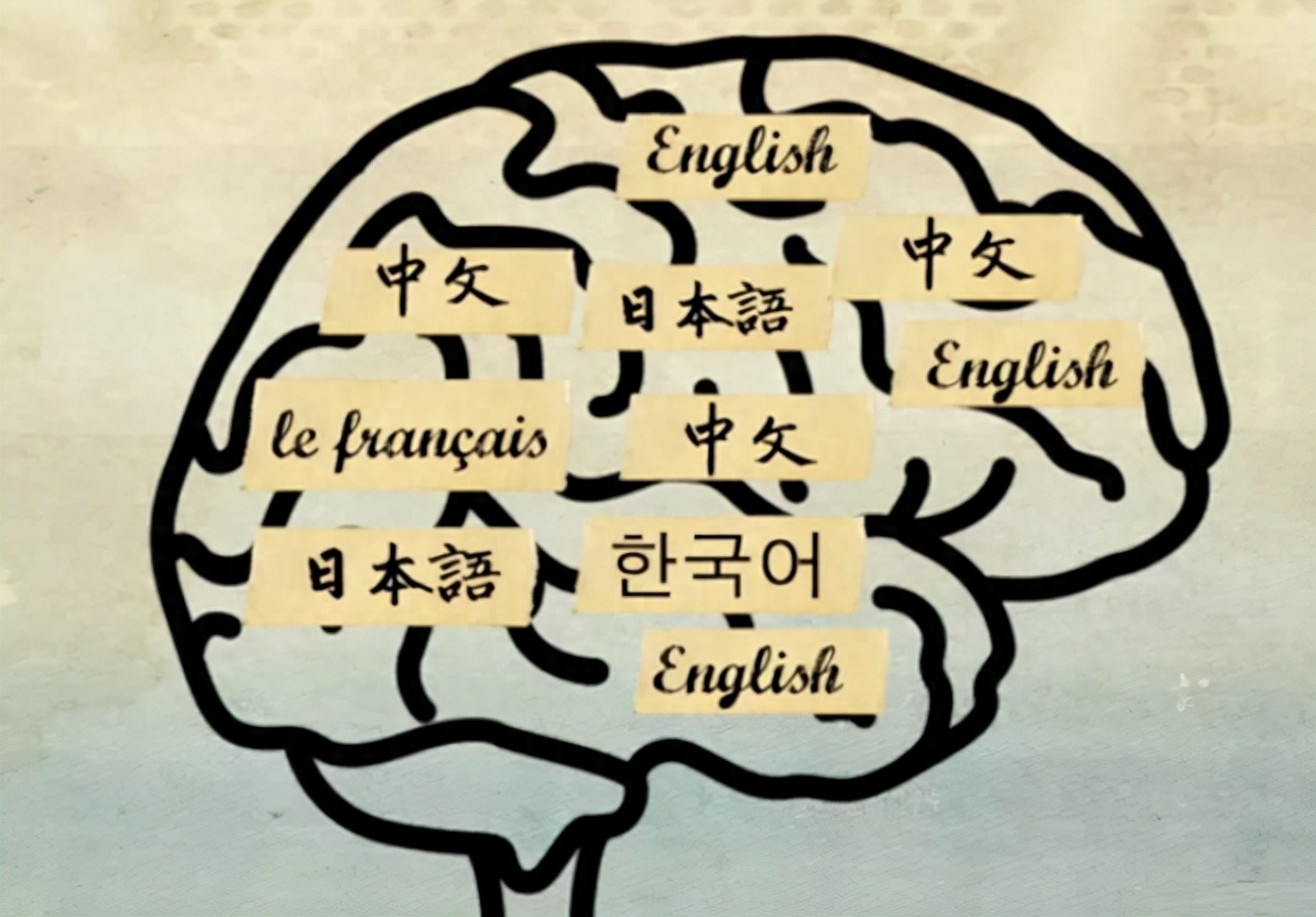 全国职场英语难吗_职场英语难吗_职场英语跟英语四级哪个难