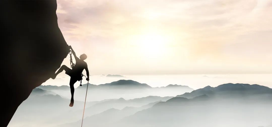 职场故事启示_职场故事与启示_启示职场故事50字