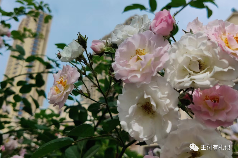 职场关键能力_职场关键能力论文_职场关键能力论文参考文献