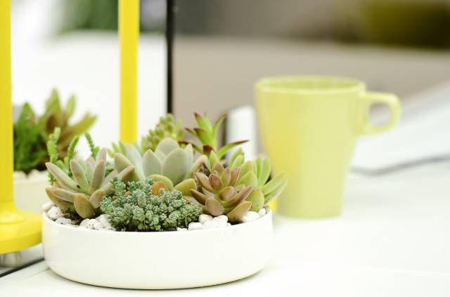 职场情绪管理心得体会_职场情绪管理ppt_职场情绪管理