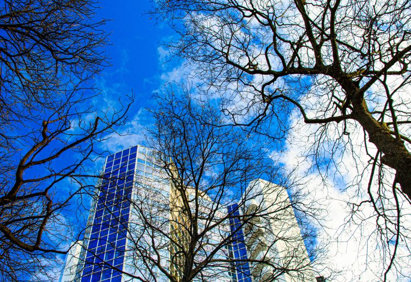 职场男人交往_职场男什么意思_职场交往男人的表现