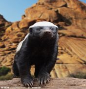 (职场知乎)在努力工作之外,怎样才算是好好生活?(图9) 知乎职场圈_知乎职场故事_国内职场知乎