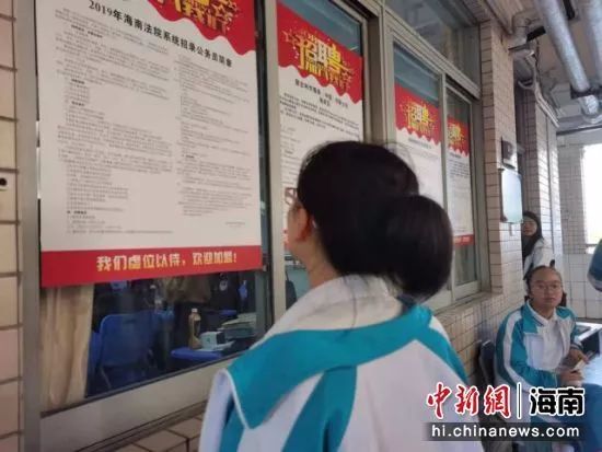 职场求职的综艺节目_职场求职节目_有关职场求职的电视节目