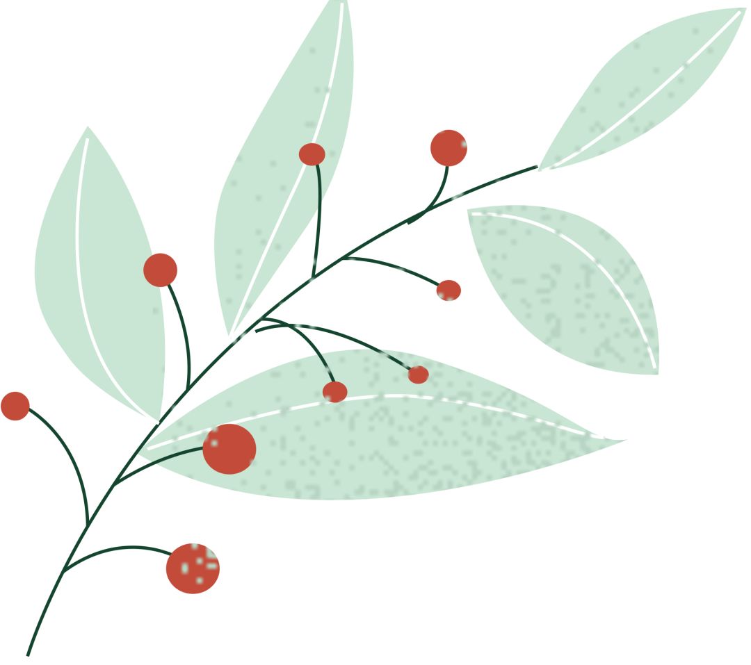 申请国外大学简历模板_申请国外大学的简历_申请国外大学简历怎么写