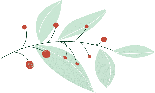 申请国外大学的简历_申请国外大学简历模板_申请国外大学简历怎么写