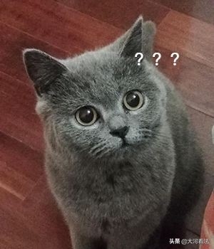 怎么样对待职场骚扰_职场性骚扰_摸手算职场骚扰