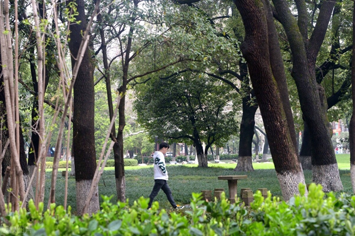 职场中的榜样_职场好榜样_职场榜样有什么特点