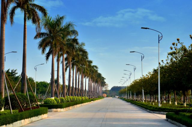 韦博国际英语在线课程_招聘英语国际韦博老师_韦博国际英语招聘