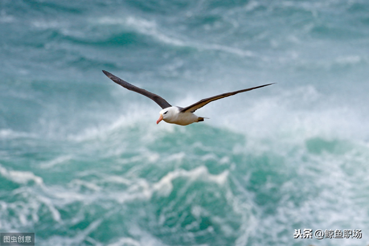 职场榜样人物事迹材料_职场中的榜样_职场好榜样