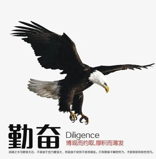 职场生存法则文案_职场生存法则20条_职场生存法则的说说