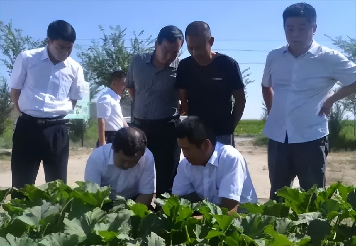 职场男士着装需要注意哪些问题_职场男人着装_职场着装男士