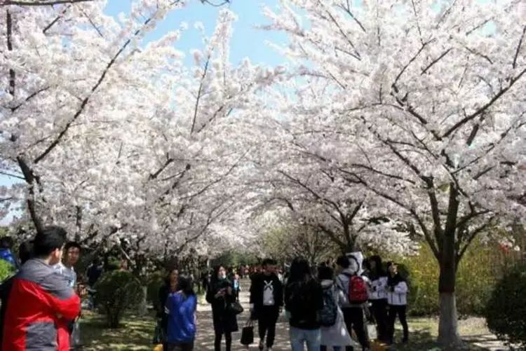 西安铁路工程职工大学招聘_西安铁路工程招聘_西安铁路公司招聘