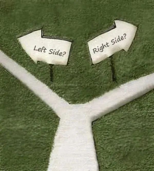 现在,发现你的职场优势 下载_职场优势亮点_发现你的职场优势