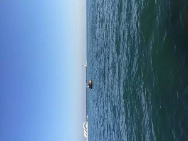 西西弗书店招聘要求_西西弗书店招聘兼职_西西弗书店招聘