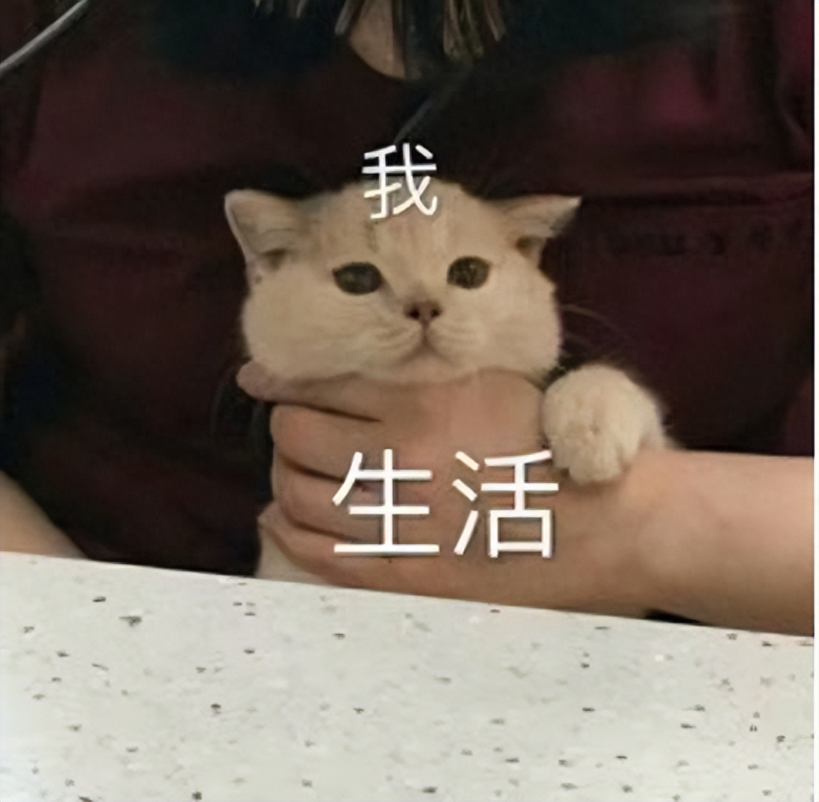 日语毕业感谢信_日语毕业论文答辩开场白_日语毕业生简历