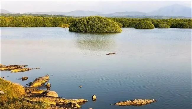 职场智慧之道_38则职场智慧_人在职场智慧修炼