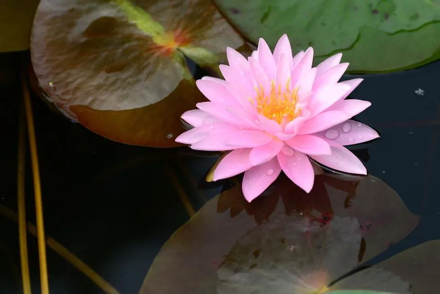 38则职场智慧_人在职场智慧修炼_职场智慧之道