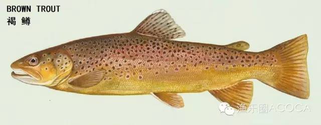 职场渔夫_职场渔乐圈钓鱼_职场渔乐圈