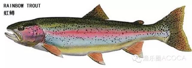 职场渔夫_职场渔乐圈_职场渔乐圈钓鱼