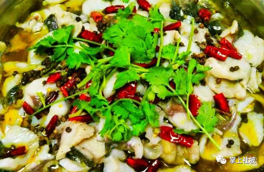 职场渔夫_职场渔乐圈_职场渔乐圈欢乐中国年