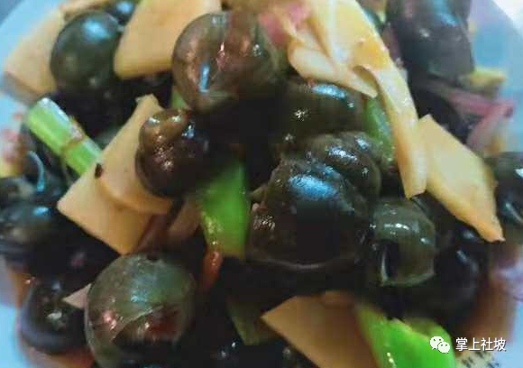 职场渔乐圈_职场渔乐圈欢乐中国年_职场渔夫