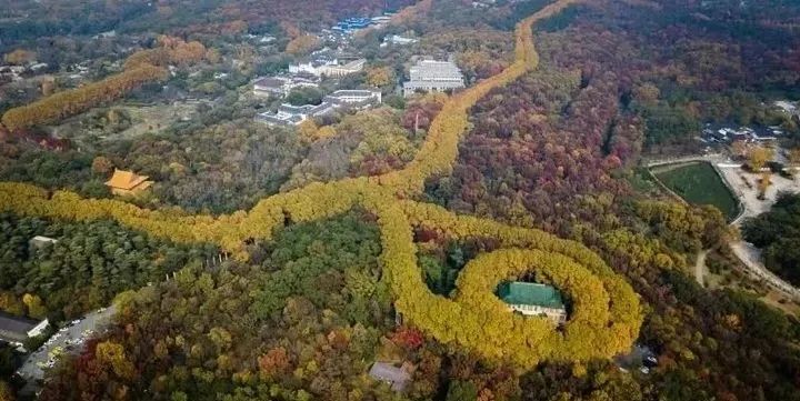 凤台新一中附近租房_凤台租房一室一厅_凤台一中周边有没有租房的