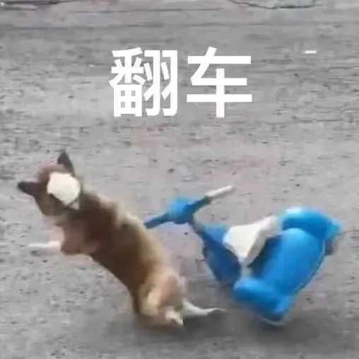 职场经典小说_小说剧 职场女人_职场女主角