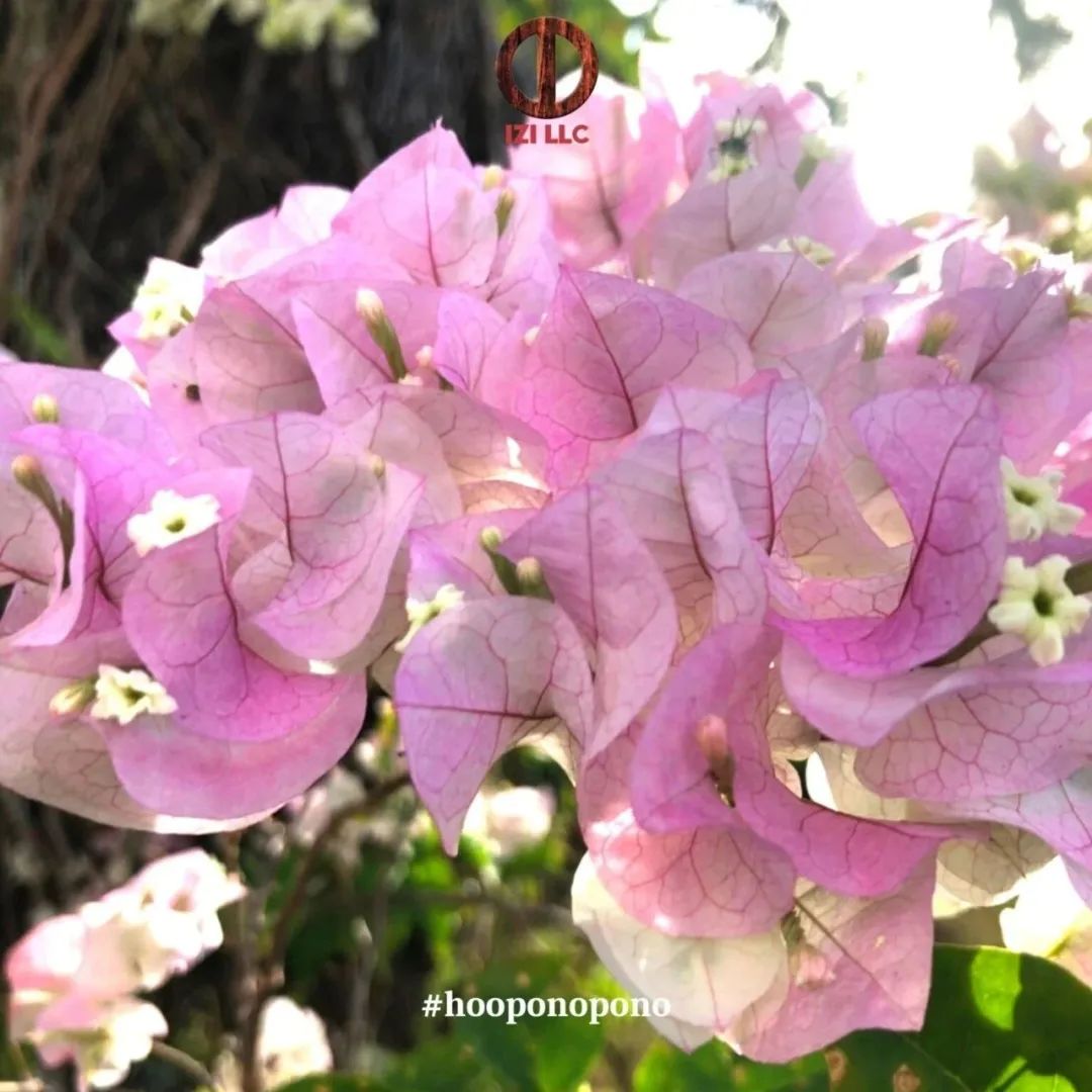 小女生职场修行记故事真假_小女生职场修行记_小女生职场修行记书