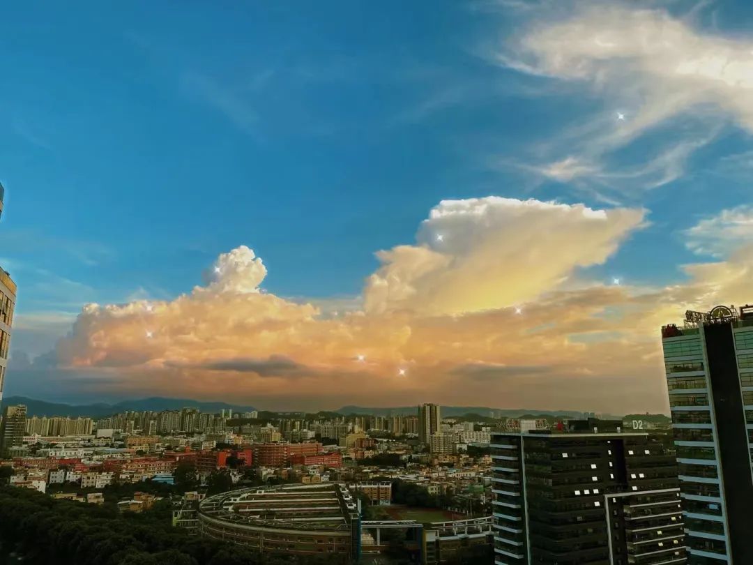 职场少吴颖4_职场四少_职场攻略女性职场成功必备法则