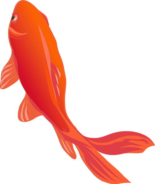 大学生简历制作攻略(图18) 简历背景图片清新_简历背景高清图_大学生简历背景图片