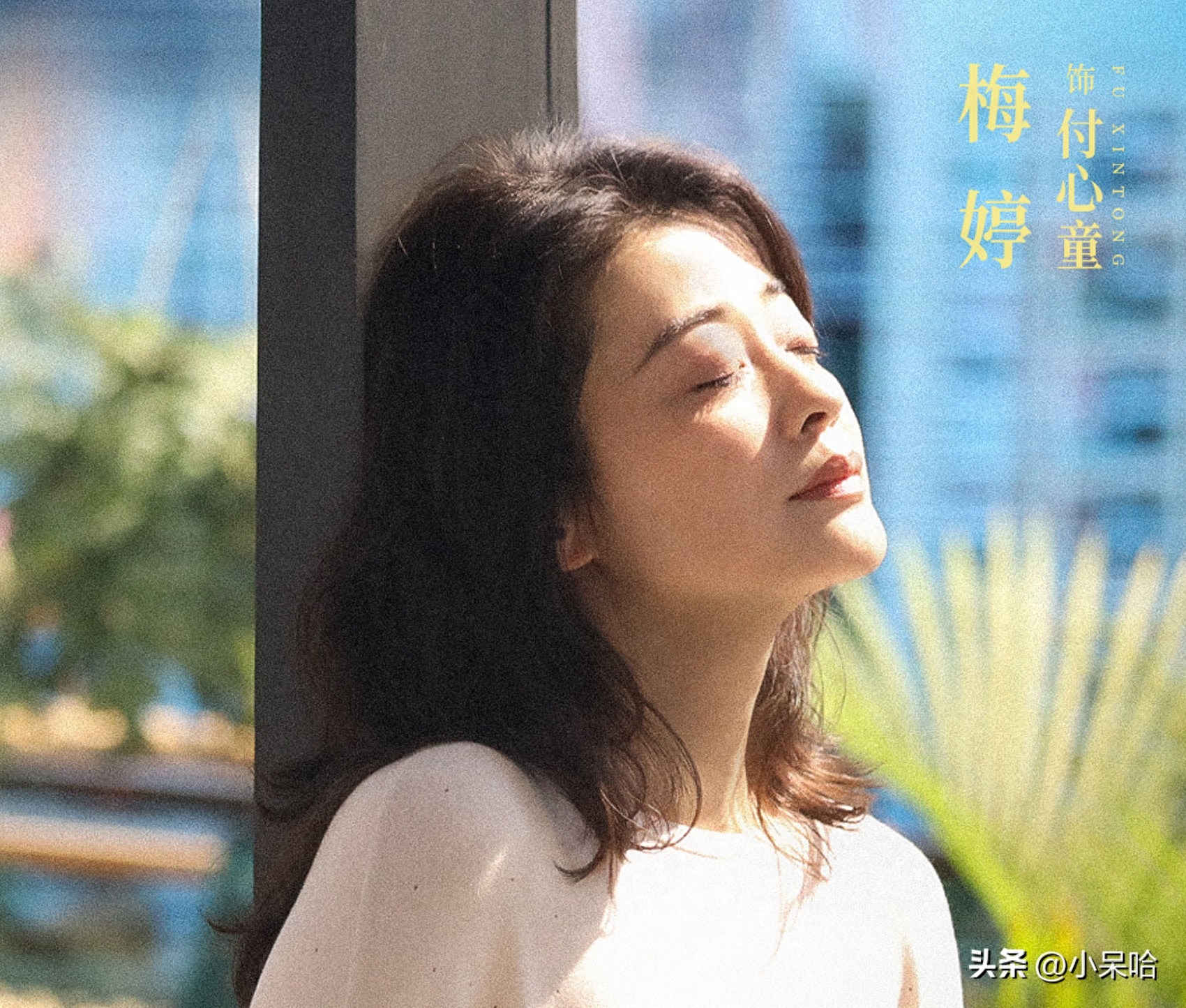 都市职场言情小说_好看的都市职场电视剧_都市职场剧大全