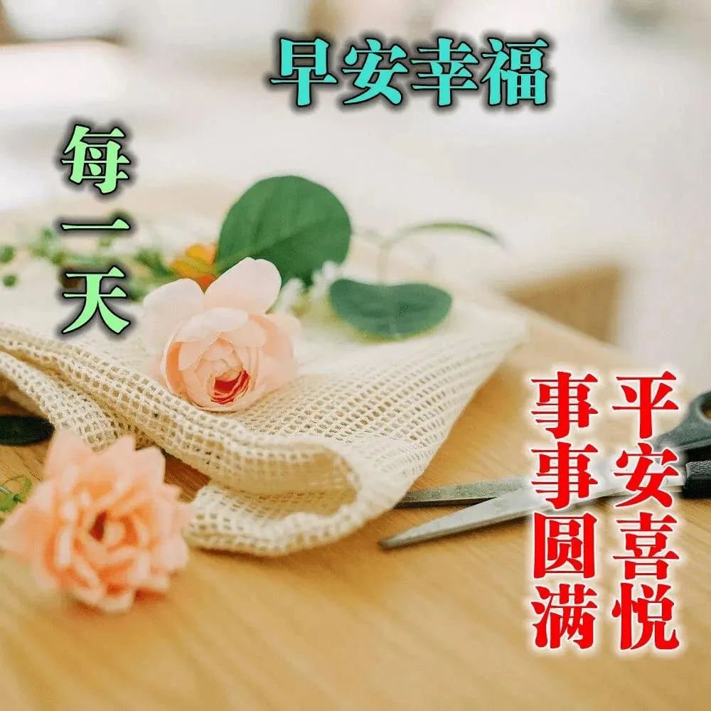 早安鸡汤语录_心灵毒鸡汤_早安心灵鸡汤励志职场