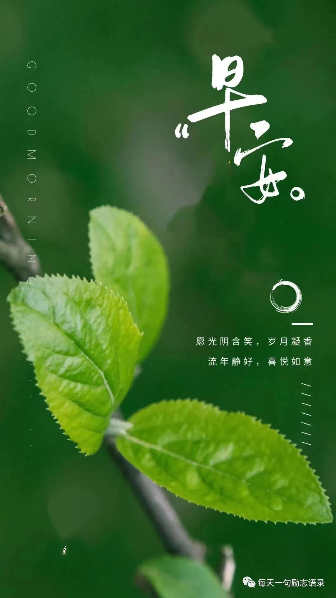 早安鸡汤语录_早安心灵鸡汤励志职场_心灵毒鸡汤