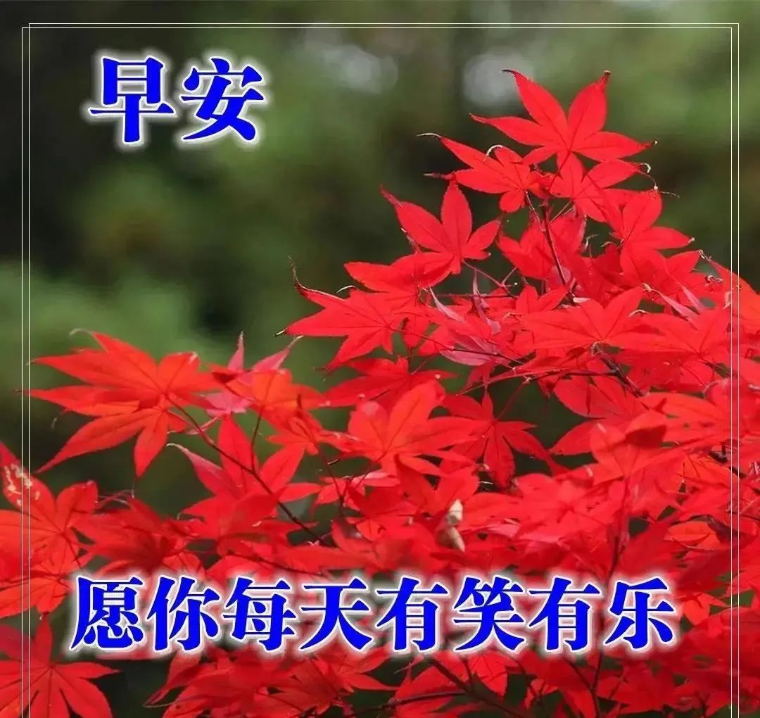 心灵毒鸡汤_早安鸡汤语录_早安心灵鸡汤励志职场