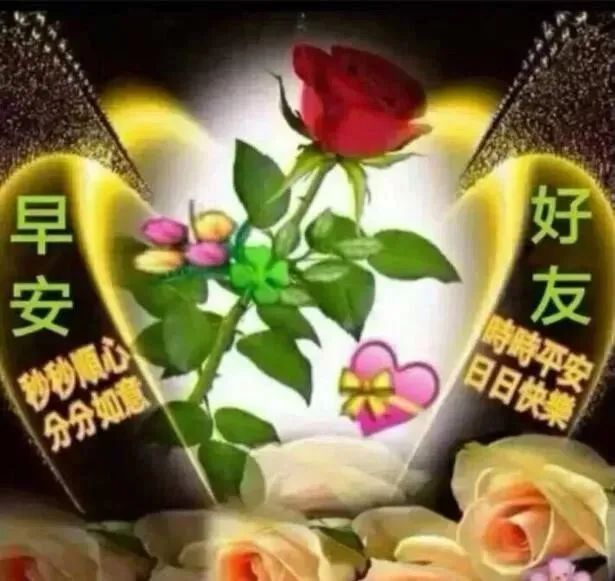 早安心灵鸡汤励志职场_职场早安鸡汤励志短语_职场励志鸡汤语录