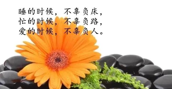 职场早安鸡汤励志短语_职场励志鸡汤语录_早安心灵鸡汤励志职场